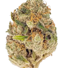 Cheetah Piss | Feminized | Cannabis Seeds