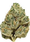 Marathon OG | Feminized | Cannabis Seeds