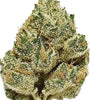 Marathon OG | Feminized | Cannabis Seeds