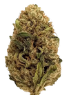Skywalker OG | Feminized  | Cannabis Seeds