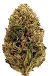 Skywalker OG | Feminized  | Cannabis Seeds