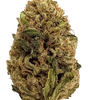 Skywalker OG | Feminized  | Cannabis Seeds