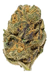 Agent Orange | Feminized | Cannabis Seeds | Hybrid
