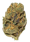 Agent Orange | Autoflower | Cannabis Seeds | Hybrid