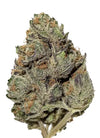 Berry White  | Feminized  | Cannabis Seeds