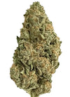 Mango | Feminized | Cannabis Seeds