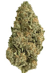 Mango | Feminized | Cannabis Seeds