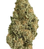 Mango | Feminized | Cannabis Seeds