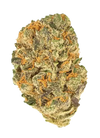 Jealousy  | Feminized  | Cannabis Seeds