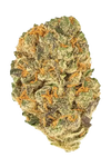 Jealousy  | Feminized  | Cannabis Seeds