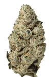 Moonbow | Feminized | Cannabis Seeds