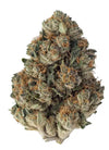 Khalifa Kush  | Feminized |Cannabis Seeds