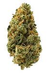 Big Bud | Feminized  | Cannabis Seeds