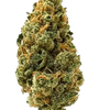 Big Bud | Feminized  | Cannabis Seeds