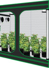 3X3 Grow Tent, 36