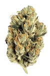 G13 | Autoflower | Cannabis Seeds