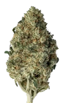 Cannatonic | Feminized | Cannabis Seeds