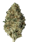 Cannatonic | CBD |  Feminized Seeds