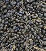 Organic Alpaca Manure | Magic Beans Fertilizer for Cannabis