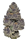 Purple Cookies | Feminized | Cannabis Seeds