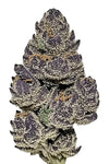 Purple Cookies | Autoflower | Cannabis Seeds
