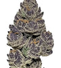 Purple Cookies | Autoflower | Cannabis Seeds