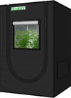Zazzy Grow Tent, 96“X48 X78 Plant Growing Tents 600D Mylar Hydroponic Indoor Grow Tent with Window, Kit Bag & Floor Tray 8X4 Growing Tent