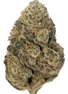 Larry Bird | Feminized | Cannabis Seeds
