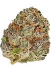 Purple Urkle | Feminized | Cannabis Seeds