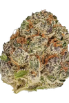 Purple Urkle | Feminized | Cannabis Seeds