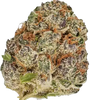 Purple Urkle | Feminized | Cannabis Seeds