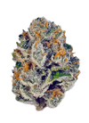 Rainbow Belts | Marijuana Hybrid  Cannabis Seeds