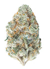 Chocolope | Feminized | Cannabis Seeds