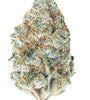 Chocolope | Feminized | Cannabis Seeds