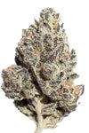 Pluto | Feminized | Cannabis Seeds