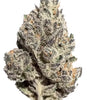 Pluto | Feminized | Cannabis Seeds