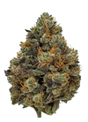 Godfather OG | Feminized | Cannabis Seeds