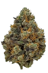 Godfather OG | Feminized | Cannabis Seeds