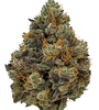 Godfather OG | Feminized | Cannabis Seeds
