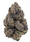 Black Truffle | Feminized  | Cannabis Seeds