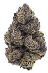Black Truffle | Feminized  | Cannabis Seeds