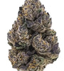 Black Truffle | Feminized  | Cannabis Seeds