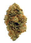 Afghani | Autoflower Feminized | Cannabis Seeds | Indica Strain
