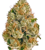 AK-47 | Feminized | Cannabis Seeds
