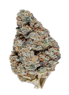 MAC 1 | Feminized | Cannabis Seeds