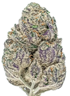 Black Domina | Autoflower | Cannabis Seeds