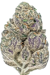 Black Domina | Autoflower | Cannabis Seeds