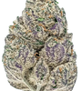 Black Domina | Autoflower | Cannabis Seeds