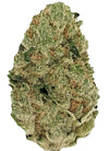 Wedding Pie | Feminized Cannabis Seeds