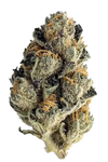 LA Kush Cake | Feminized | Cannabis Seeds